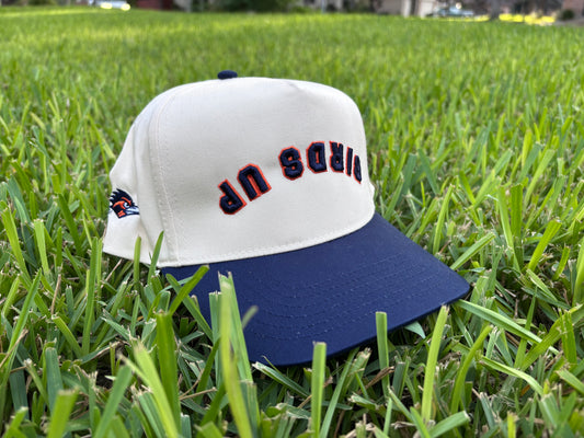 BACKORDER: Birds Up Hat